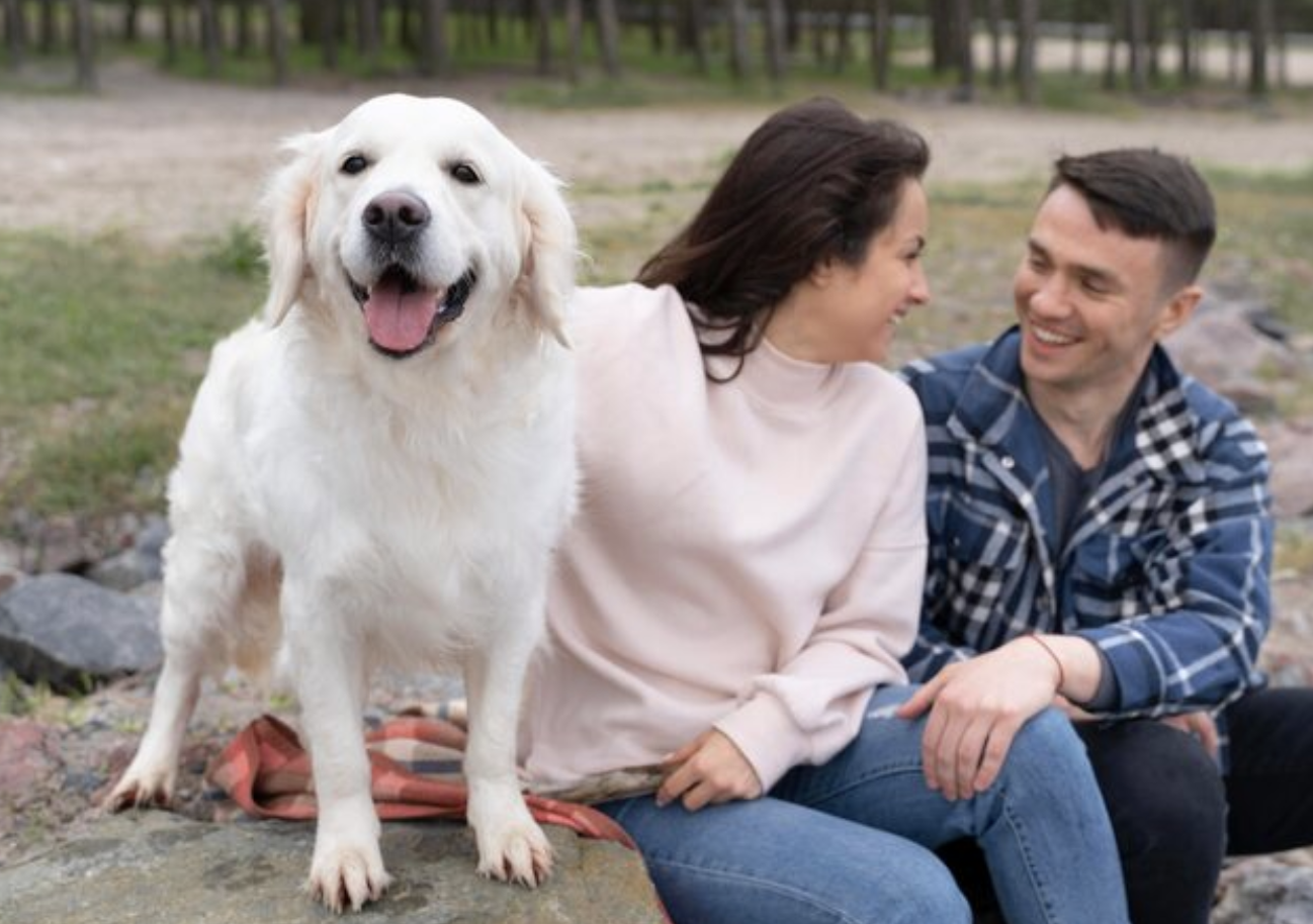 Owner with golden retriever in a field