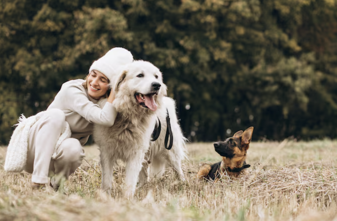 Woman with a fluffy white dog in a field